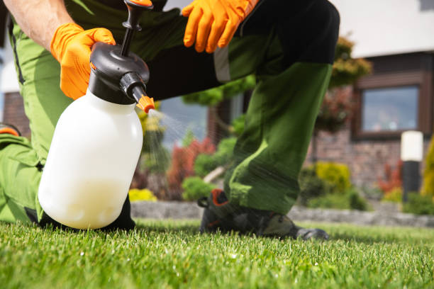 Reliable Windsor, CA Pest Control Solutions