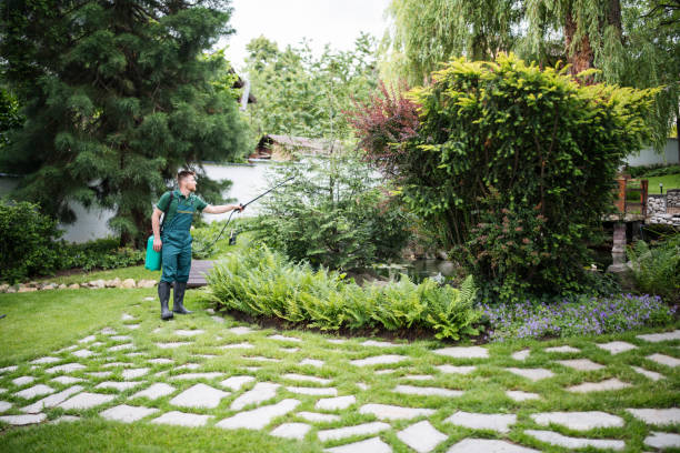 Best Mosquito Control Services  in Windsor, CA