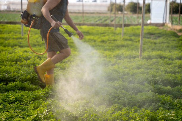  Windsor, CA Pest Control Pros