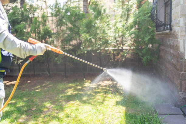 Best Bird Control  in Windsor, CA