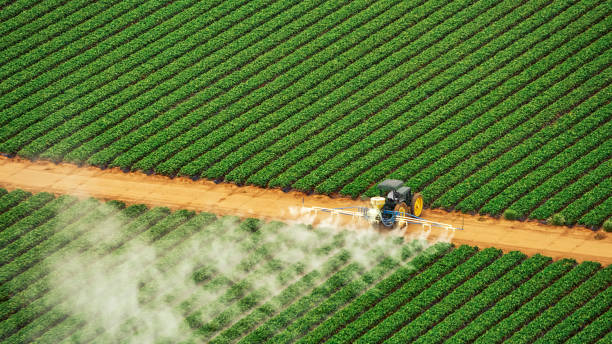 Best Pest Removal Services  in Windsor, CA