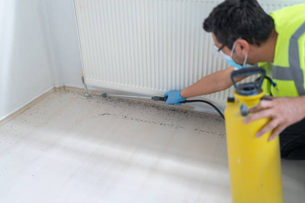 Best Residential Pest Control  in Windsor, CA
