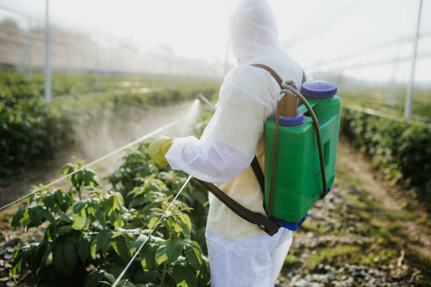 Best Best Pest Control Companies  in Windsor, CA